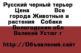 Русский черный терьер › Цена ­ 35 000 - Все города Животные и растения » Собаки   . Вологодская обл.,Великий Устюг г.